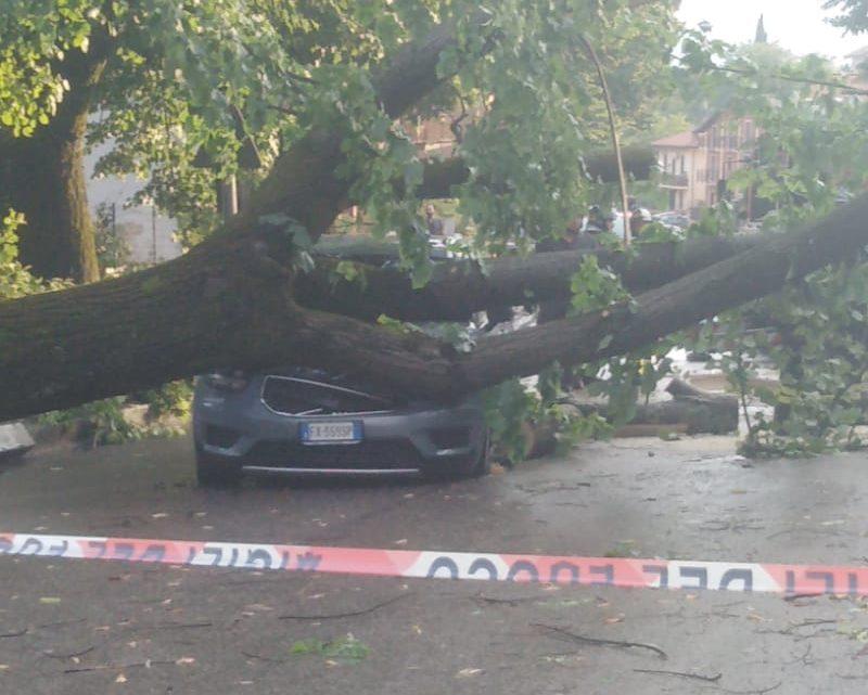 Temporale a Frosinone, albero schiaccia auto su via America Latina