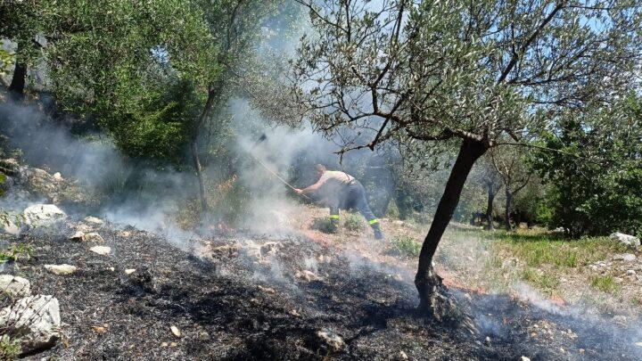 San Pietro Infine – Fiamme su monte Sammucro, Comunità Montana sul posto