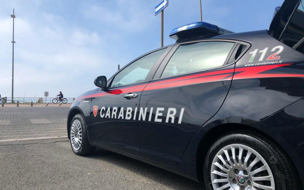 Due pitbull aggrediscono e uccidono cagnolino a Ponza, denunciata 29enne romana Due pitbull aggrediscono e uccidono cagnolino a Ponza, denunciata 29enne romana
