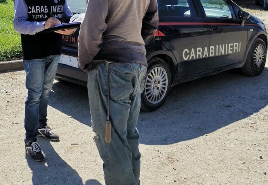 Sora – Reddito di cittadinanza, sequestrato danaro indebitamente percepito Sora – Reddito di cittadinanza, sequestrato danaro indebitamente percepito