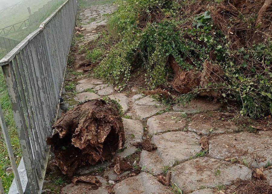 Frana nell’area archeologica di Cassino, perimetro circoscritto