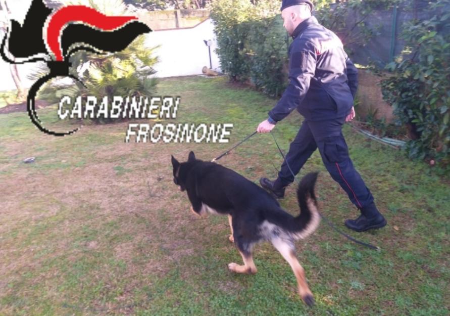 Pestaggi al cliente che non pagava la droga ad Aquino, arresati due giovani che organizzavano risse a Cassino