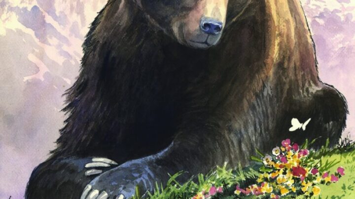 L’orso Carrito è morto, il parco: non dobbiamo perdere la lezione che ci deve venire da questa storia