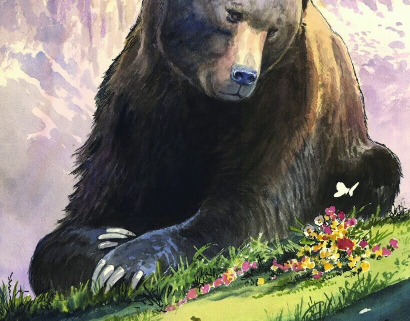 L’orso Carrito è morto, il parco: non dobbiamo perdere la lezione che ci deve venire da questa storia