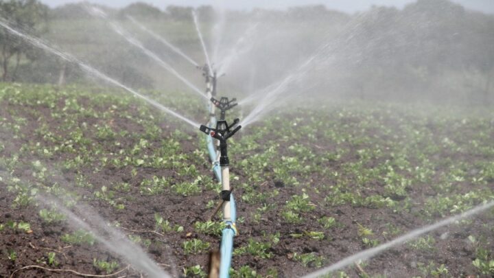 Siccità nel Lazio, non piove e dai consorzi di Bonifica serve acqua per 10 mesi l’anno