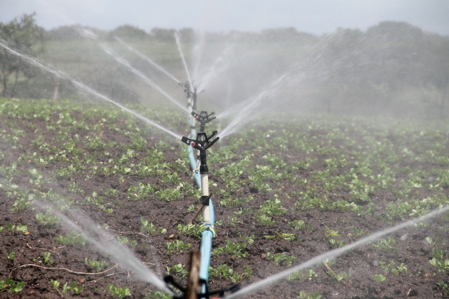 Siccità nel Lazio, non piove e dai consorzi di Bonifica serve acqua per 10 mesi l’anno