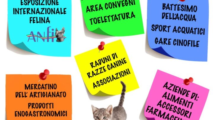 “A Tutta Coda Pet Expo” a Fiuggi da tutta Italia oltre 700 appassionati di gatti e cani