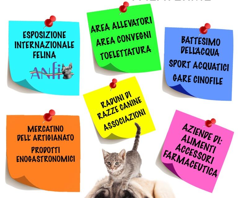 “A Tutta Coda Pet Expo” a Fiuggi da tutta Italia oltre 700 appassionati di gatti e cani