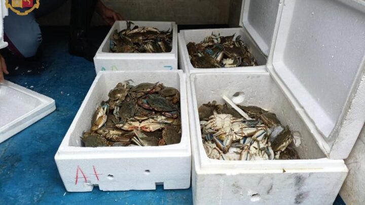 Prodotti ittici senza certificato di provenienza e mal conservati sequestrati dalla Polstrada in A1