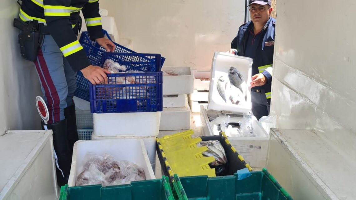 Sequestrato, dalla Polstrada, carico di pesce avariato