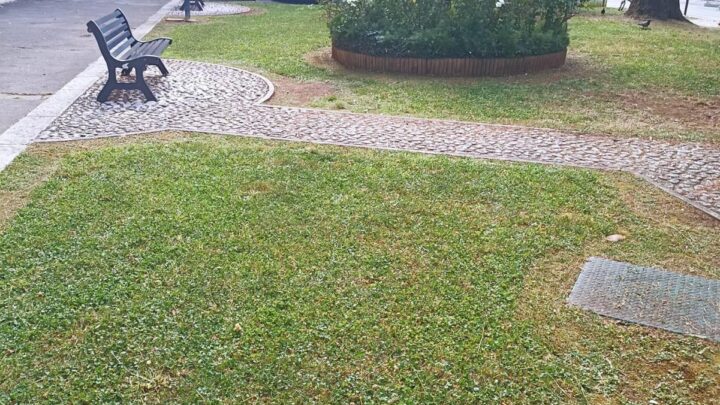 Settore Manutenzione al lavoro per il decoro cittadino. Sanzionato super condominio nella gestione rifiuti