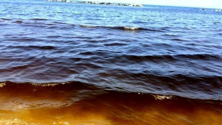 Latina, il mare marrone tra Rio Martino e Foce Verde, Preoccupa i titolari dei lidi per la stagione balneare