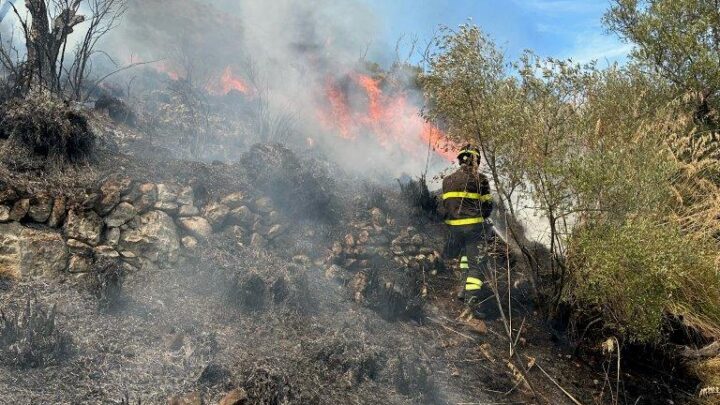 Vasto incendio boschivo a Venafro, tre mezzi aerei in azione