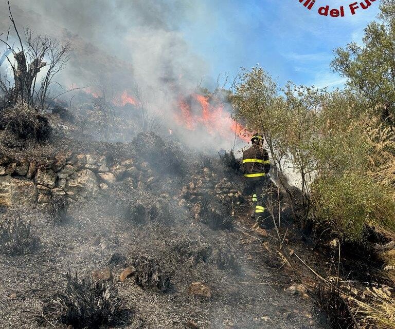 Vasto incendio boschivo a Venafro, tre mezzi aerei in azione Vasto incendio boschivo a Venafro, tre mezzi aerei in azione