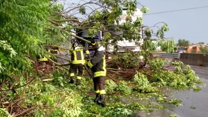 Maltempo – Allagamenti ed alberi caduti in provincia di Frosinone, numerosi gli interventi dei Vigili del Fuoco