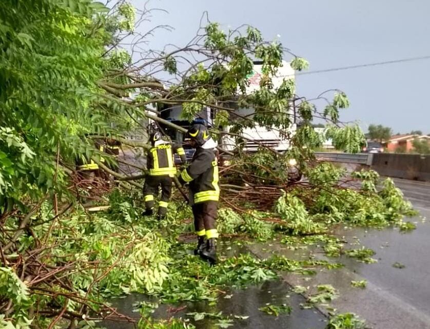 Maltempo – Allagamenti ed alberi caduti in provincia di Frosinone, numerosi gli interventi dei Vigili del Fuoco Maltempo – Allagamenti ed alberi caduti in provincia di Frosinone, numerosi gli interventi dei Vigili del Fuoco