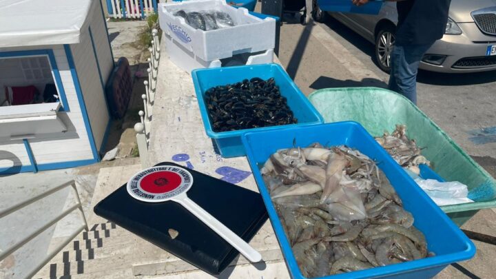 Ambulante vendeva pesce avariato sulla spiaggia di Gianola. Guardia Costiera sanzione di 5mila euro e sequestro dei prodotti ittici