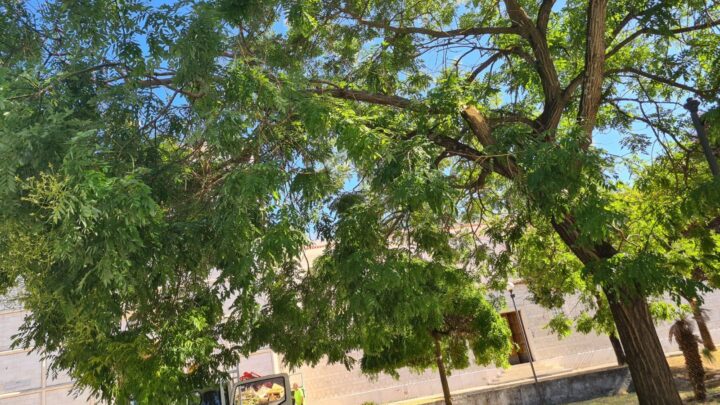 Interventi del settore Manutenzione, illuminazione e interventi post-bufera