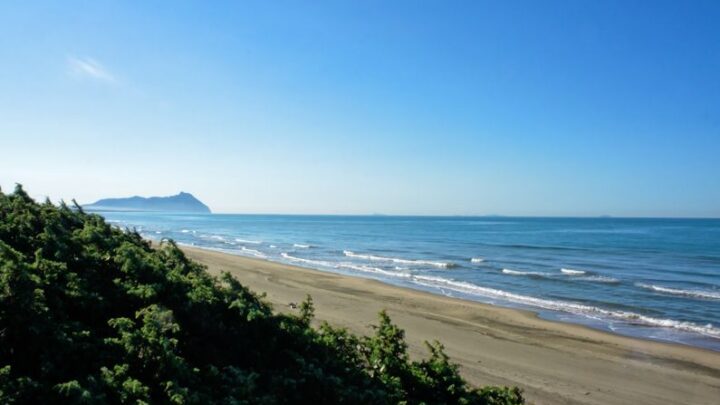 Mare Latina Palazzo ARPA LAZIO, conferma la balneabilità delle acque criticità dai canali
