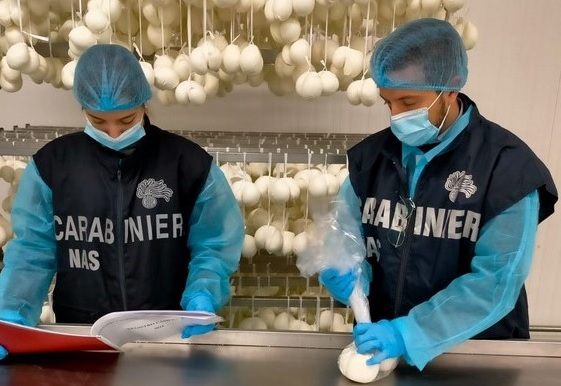 Cassino – Controlli del Nas, sospesa attività di un caseificio Cassino – Controlli del Nas, sospesa attività di un caseificio