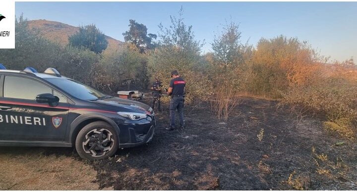 Roccagorga, incendio colposo, denunciata una persona dal Nucleo Carabinieri Forestale