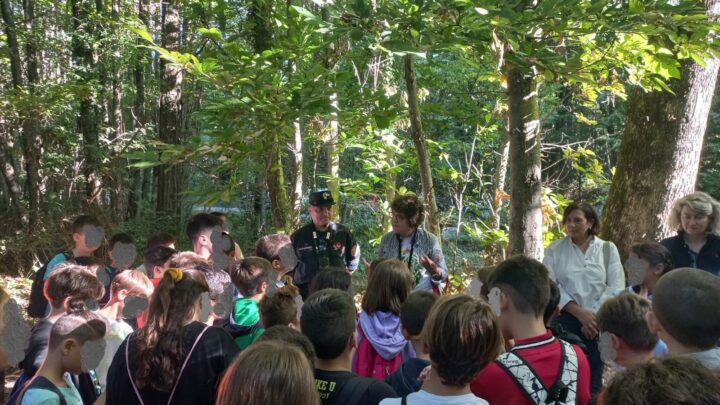 Alla scoperta del bosco, i Carabinieri Forestali incontrano gli alunni di Isola del Liri