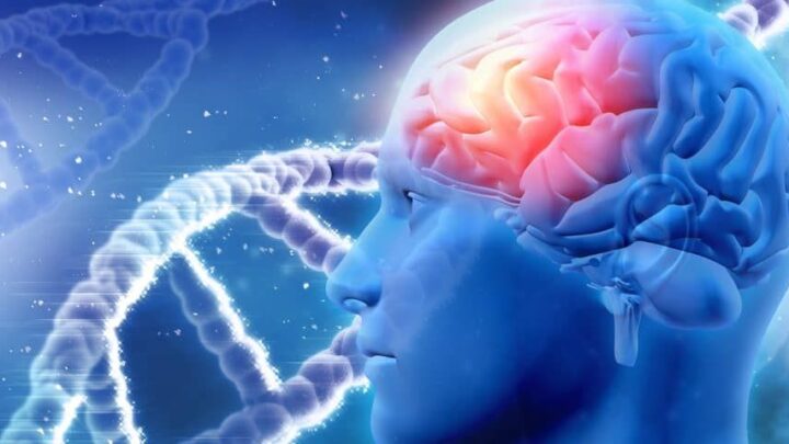 Giornata Nazionale Parkinson a Palazzo della Cultura. Il punto sulla malattia e oltre al San Raffaele e l’APC