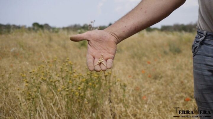 “Presidiamo la Puglia”, presentati a Bari sette nuovi Presìdi Slow Food