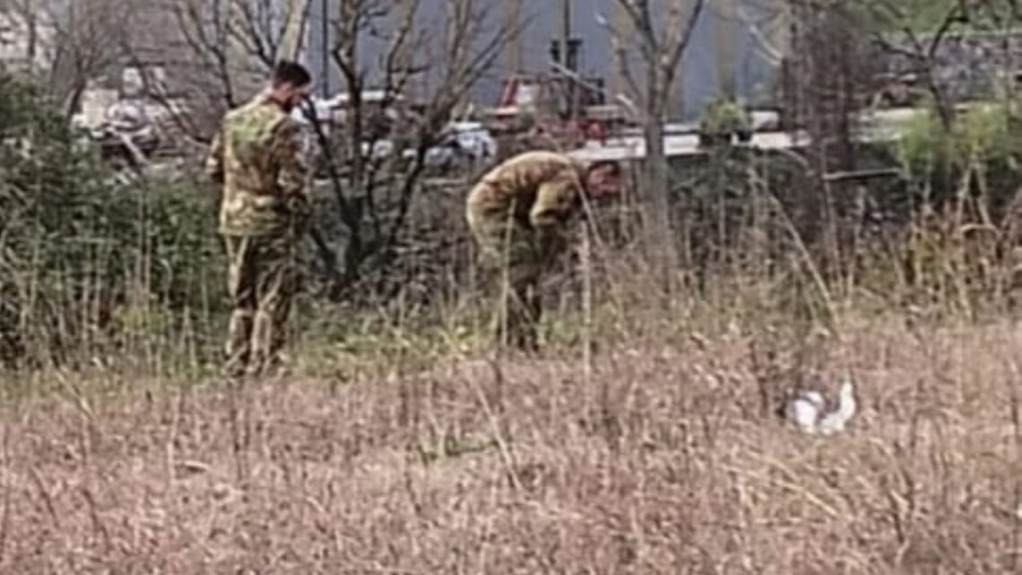 A Sant’Angelo, durante i lavori in campagna trova due bombe a mano “Ananas” dell’ultima guerra