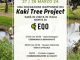 Eventi a Cassino: Una pianta di kaki a ricordo del  disastro nucleare del ’45 di Nagasaki