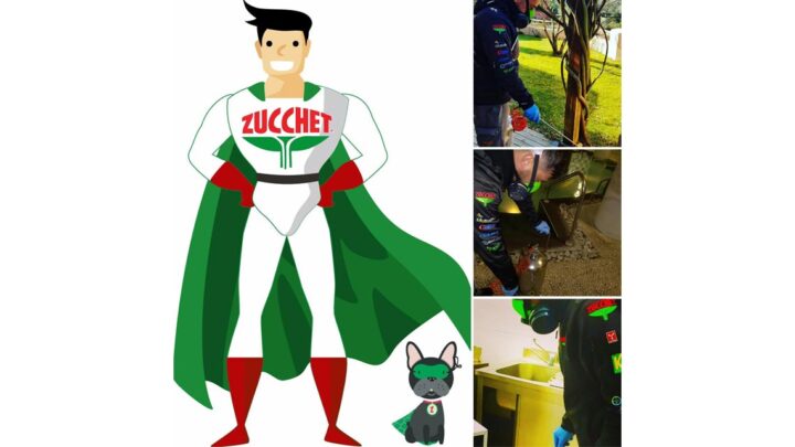 Eliminare le zanzare: strategie efficaci per proteggere la tua casa e il tuo benessere