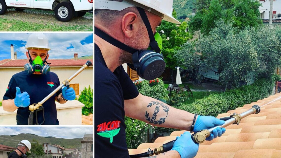 Il caldo è arrivato, ecco come proteggersi dagli insetti e dai parassiti Il caldo è arrivato, ecco come proteggersi dagli insetti e dai parassiti