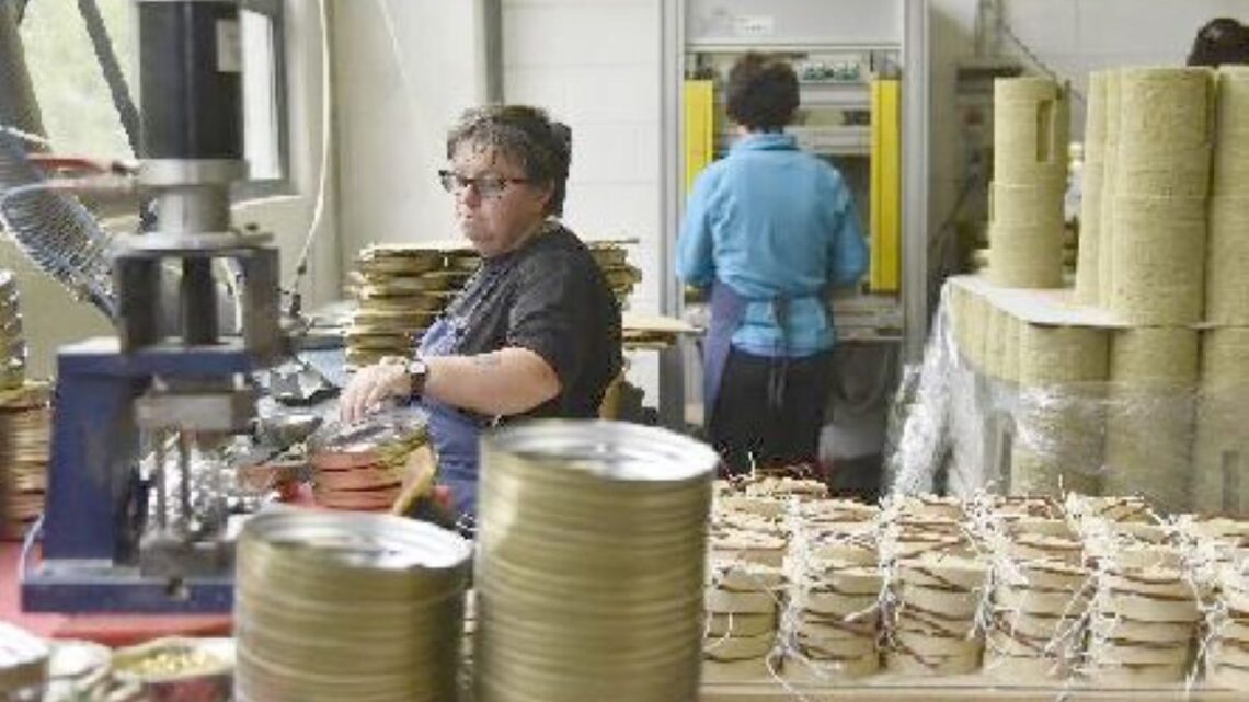 Export nel Lazio, Latina è 20esima con un valore di 8 miliardi nel 2023 e 936 milioni persi (-10,5%)