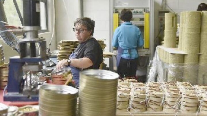 Export nel Lazio, Latina è 20esima con un valore di 8 miliardi nel 2023 e 936 milioni persi (-10,5%)