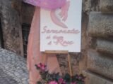 “Sermoneta si tinge di rosa”: libri, mostre, musica visite guidate e convegno sul “Turismo in rosa”. 20-21 aprile