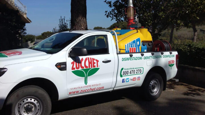 Disinfestazione professionale Roma e provincia: garanzia di ambiente sicuro