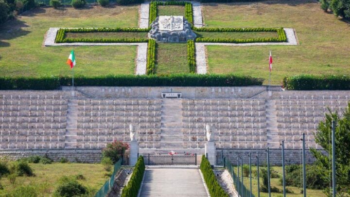 Settore Manutenzione: regolazione del verde pubblico e interventi del verde al cimitero polacco