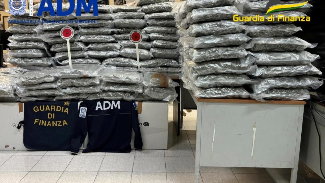 Bancali di droga tra frutta e verdura a Civitavecchia, sequestrati 340 chili tra hashish e marijuana