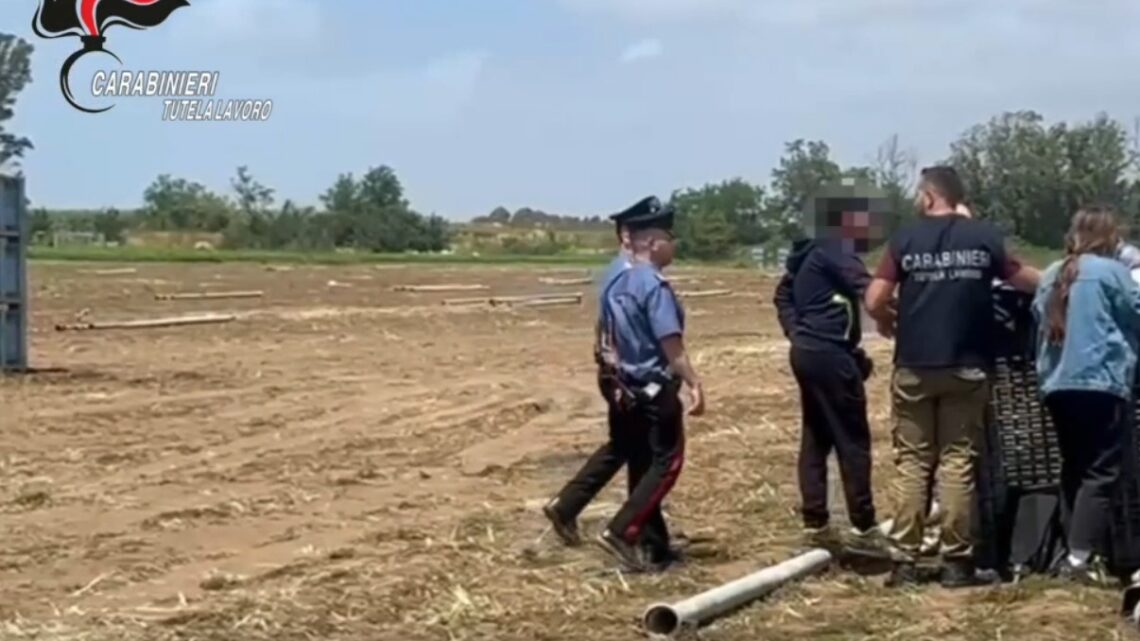Braccianti agricoli costretti a vivere come animali in baracche senza bagni