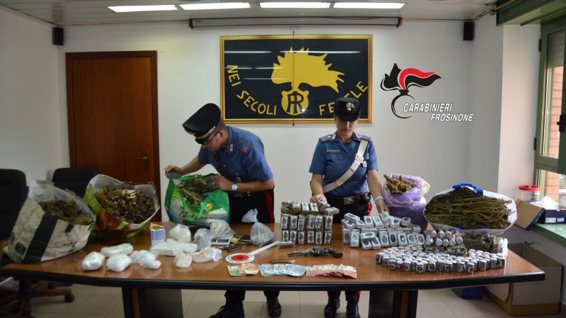 Sequestrati 30 chili di stupefacente, due serre per la coltivazione di canapa ed un revolver, arrestato un 29enne ad Alatri Sequestrati 30 chili di stupefacente, due serre per la coltivazione di canapa ed un revolver, arrestato un 29enne ad Alatri