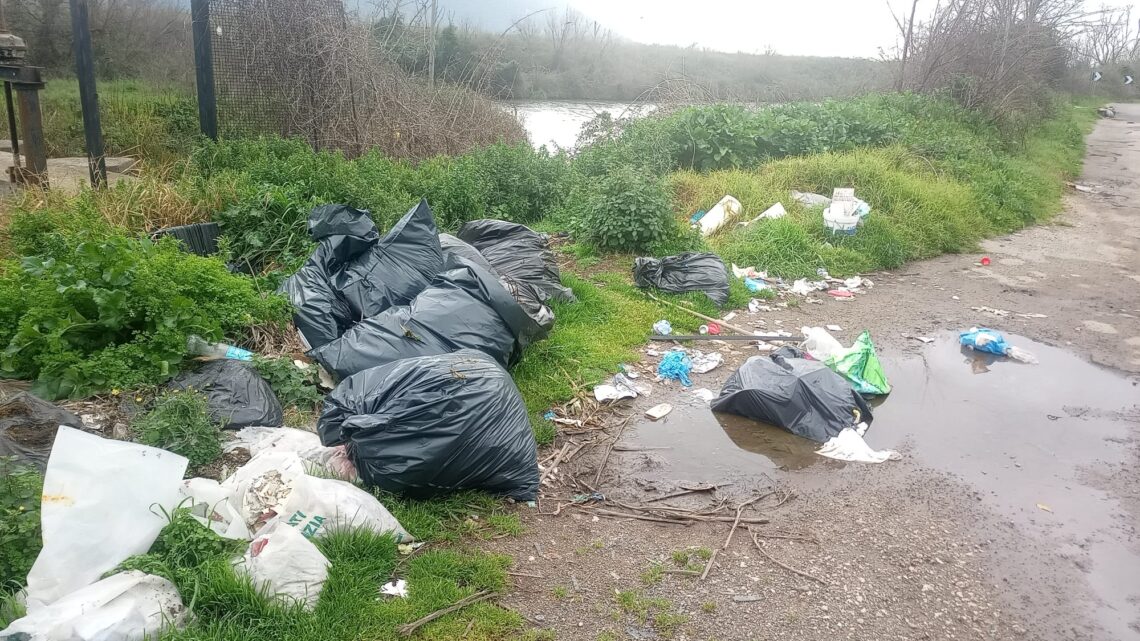 Fiumi in condizioni disastrose a Terracina, l’allarme delle guardie ittiche: “Ecosistemi a rischio” Fiumi in condizioni disastrose a Terracina, l’allarme delle guardie ittiche: “Ecosistemi a rischio”