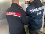Controlli del Nas in due ristoranti a Fiuggi e Amaseno, sequestrati 180 chili di alimenti