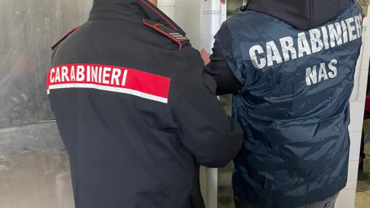Controlli del Nas in due ristoranti a Fiuggi e Amaseno, sequestrati 180 chili di alimenti