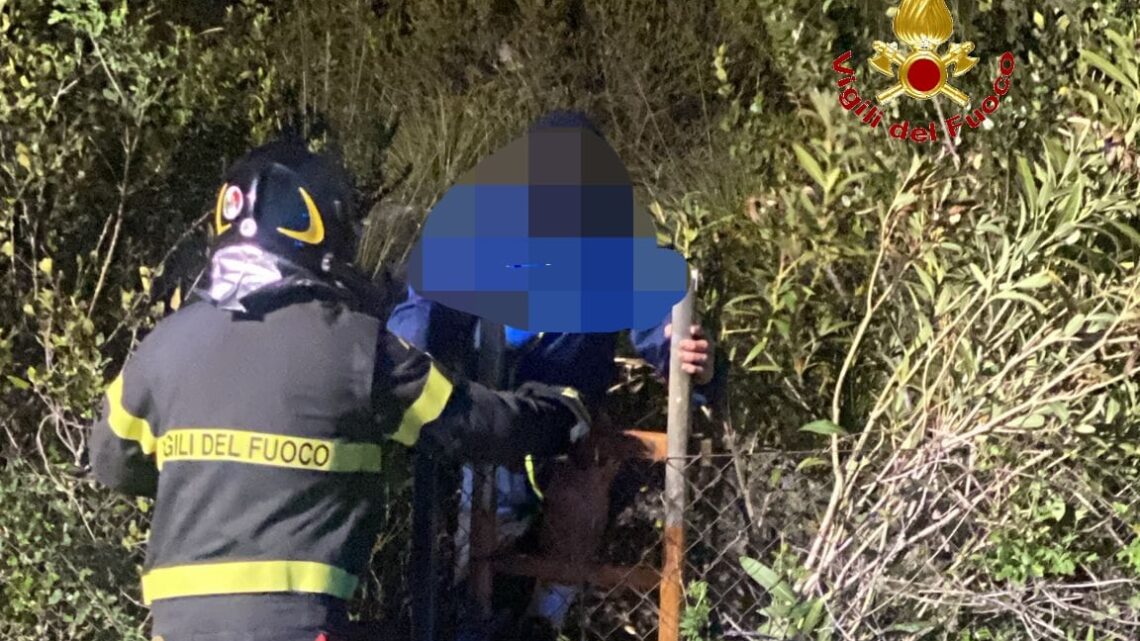 San Prisco, dispersi sul Monte Tifata: salvati tre ragazzi dai Vigili del Fuoco San Prisco, dispersi sul Monte Tifata: salvati tre ragazzi dai Vigili del Fuoco