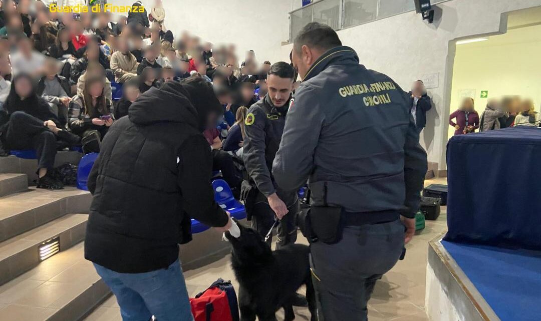Controlli antidroga nelle scuole a Viterbo, 4 studenti minorenni segnalati a Prefettura Controlli antidroga nelle scuole a Viterbo, 4 studenti minorenni segnalati a Prefettura