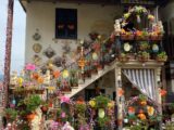 Gli auguri di Buona Pasqua “veri e reali” dei Pallucci di Cassino