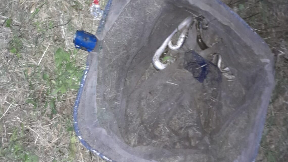 Pescatori di anguille aggrediscono guardiapesca della Fipsas durante controlli a Terracina Pescatori di anguille aggrediscono guardiapesca della Fipsas durante controlli a Terracina