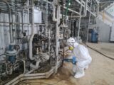 La Sogin annuncia “iniziato lo smantellamento del radwaste della centrale nucleare del Garigliano”