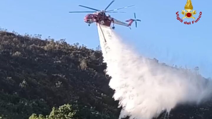 Incendio a Castelforte, fiamme inceneriscono 4 ettari di macchia mediterranea