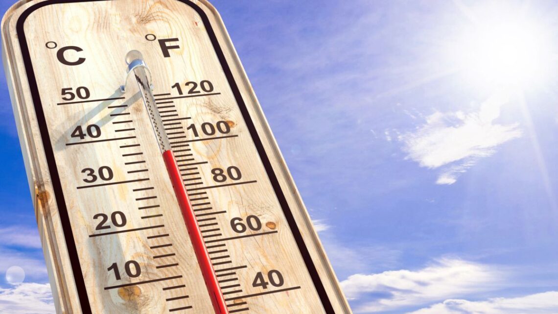 Latina in prima linea nel contrasto alle estati roventi, effetto dei cambiamenti climatici Latina in prima linea nel contrasto alle estati roventi, effetto dei cambiamenti climatici